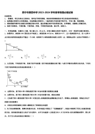 西宁市第四中学2023-2024学年高考物理必刷试卷含解析.doc