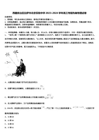西藏自治区拉萨市北京实验中学2023-2024学年高三考前热身物理试卷含解析.doc