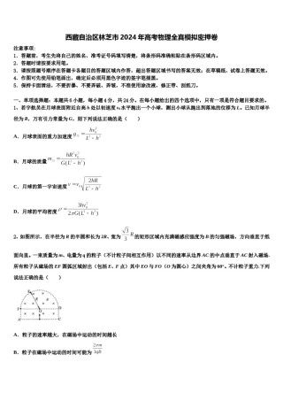 西藏自治区林芝市2024年高考物理全真模拟密押卷含解析.doc