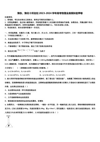 豫东、豫北十所名校2023-2024学年高考物理全真模拟密押卷含解析.doc