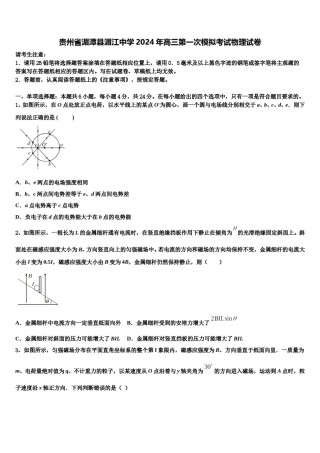 贵州省湄潭县湄江中学2024年高三第一次模拟考试物理试卷含解析.doc