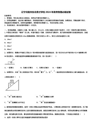 辽宁沈阳市东北育才学校2024年高考物理必刷试卷含解析.doc