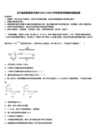 辽宁省阜蒙县育才高中2023-2024学年高考冲刺模拟物理试题含解析.doc