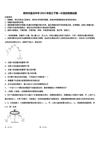 郴州市重点中学2024年高三下第一次测试物理试题含解析.doc