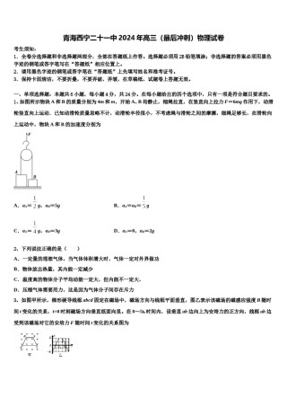 青海西宁二十一中2024年高三（最后冲刺）物理试卷含解析.doc