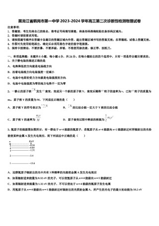 黑龙江省鹤岗市第一中学2023-2024学年高三第二次诊断性检测物理试卷含解析.doc