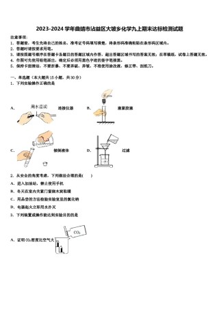 2023-2024学年曲靖市沾益区大坡乡化学九上期末达标检测试题含解析.doc
