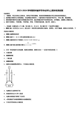 2023-2024学年期贵州省毕节市化学九上期末检测试题含解析.doc