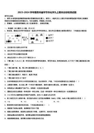 2023-2024学年期贵州省毕节市化学九上期末达标检测试题含解析.doc