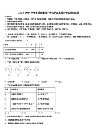 2023-2024学年本溪市重点中学化学九上期末考试模拟试题含解析.doc