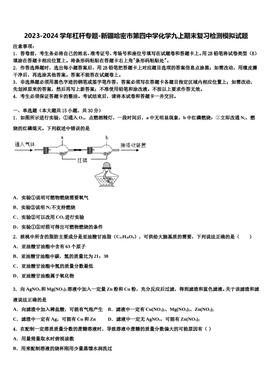 2023-2024学年杠杆专题-新疆哈密市第四中学化学九上期末复习检测模拟试题含解析.doc_第1页