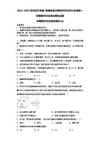 2023-2024学年杠杆专题-新疆哈密市第四中学化学九年级第一学期期中综合测试模拟试题含解析.doc