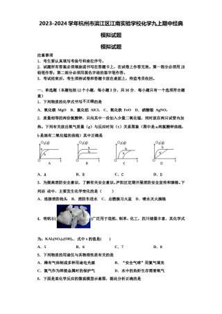 2023-2024学年杭州市滨江区江南实验学校化学九上期中经典模拟试题含解析.doc