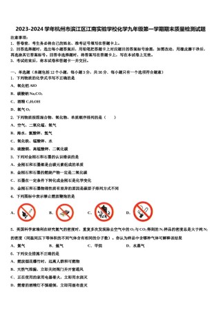 2023-2024学年杭州市滨江区江南实验学校化学九年级第一学期期末质量检测试题含解析.doc
