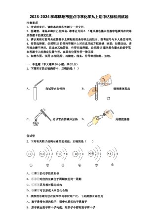 2023-2024学年杭州市重点中学化学九上期中达标检测试题含解析.doc