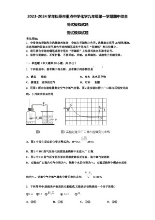 2023-2024学年松原市重点中学化学九年级第一学期期中综合测试模拟试题含解析.doc