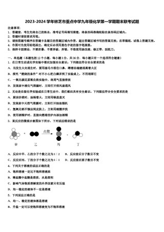 2023-2024学年林芝市重点中学九年级化学第一学期期末联考试题含解析.doc