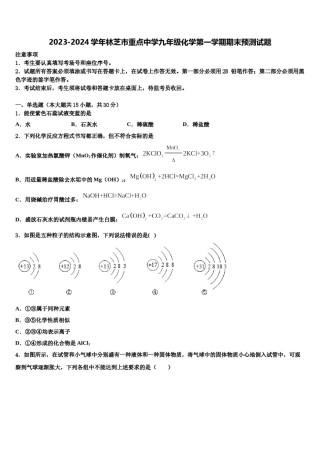 2023-2024学年林芝市重点中学九年级化学第一学期期末预测试题含解析.doc