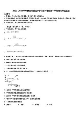 2023-2024学年林芝市重点中学化学九年级第一学期期末考试试题含解析.doc