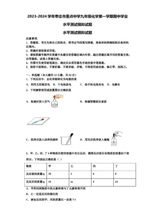 2023-2024学年枣庄市重点中学九年级化学第一学期期中学业水平测试模拟试题含解析.doc