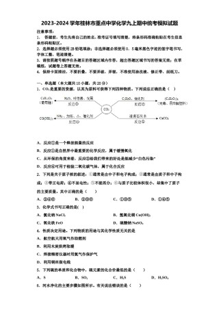 2023-2024学年桂林市重点中学化学九上期中统考模拟试题含解析.doc