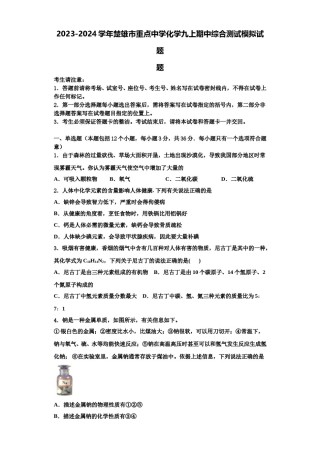 2023-2024学年楚雄市重点中学化学九上期中综合测试模拟试题含解析.doc