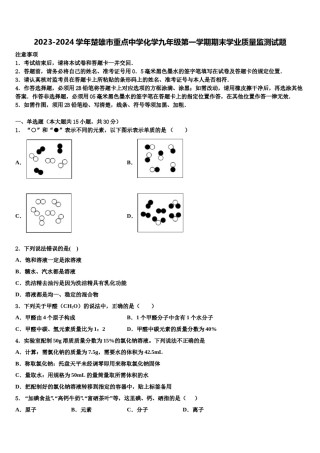 2023-2024学年楚雄市重点中学化学九年级第一学期期末学业质量监测试题含解析.doc
