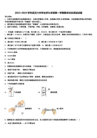 2023-2024学年武汉六中学化学九年级第一学期期末综合测试试题含解析.doc
