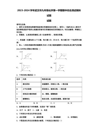 2023-2024学年武汉市九年级化学第一学期期中综合测试模拟试题含解析.doc