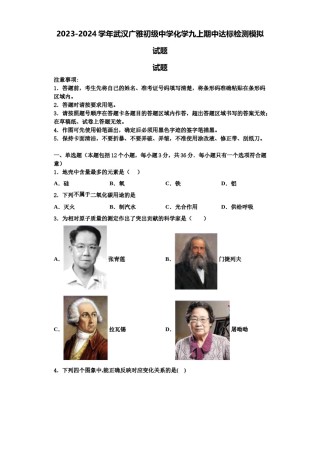 2023-2024学年武汉广雅初级中学化学九上期中达标检测模拟试题含解析.doc