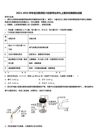 2023-2024学年武汉新洲区六校联考化学九上期末经典模拟试题含解析.doc
