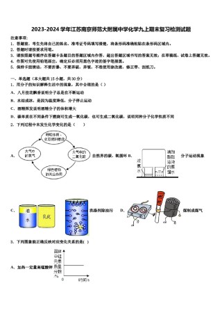 2023-2024学年江苏南京师范大附属中学化学九上期末复习检测试题含解析.doc
