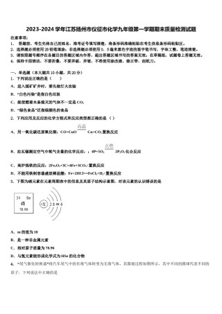 2023-2024学年江苏扬州市仪征市化学九年级第一学期期末质量检测试题含解析.doc