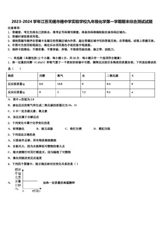 2023-2024学年江苏无锡市锡中学实验学校九年级化学第一学期期末综合测试试题含解析.doc