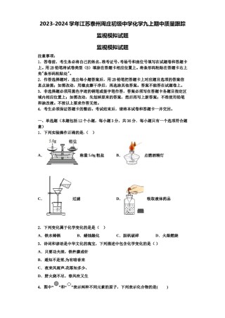 2023-2024学年江苏泰州周庄初级中学化学九上期中质量跟踪监视模拟试题含解析.doc