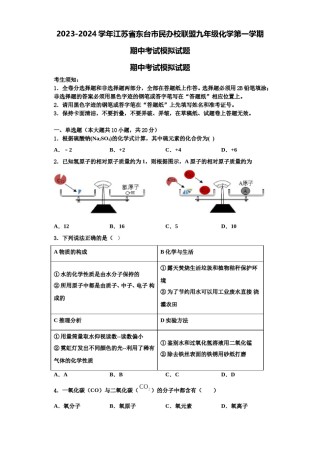 2023-2024学年江苏省东台市民办校联盟九年级化学第一学期期中考试模拟试题含解析.doc