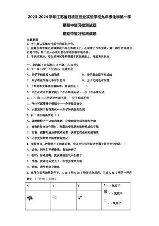 2023-2024学年江苏省丹徒区世业实验学校九年级化学第一学期期中复习检测试题含解析.doc