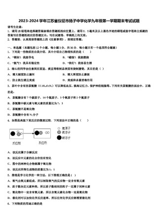 2023-2024学年江苏省仪征市扬子中学化学九年级第一学期期末考试试题含解析.doc