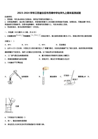2023-2024学年江苏省仪征市月塘中学化学九上期末监测试题含解析.doc