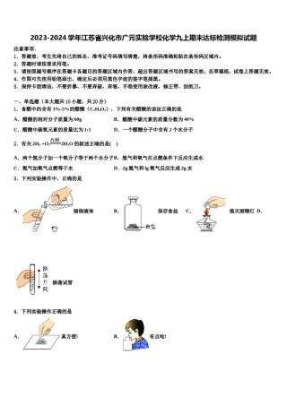 2023-2024学年江苏省兴化市广元实验学校化学九上期末达标检测模拟试题含解析.doc
