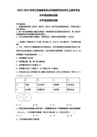 2023-2024学年江苏省南京东山外国语学校化学九上期中学业水平测试模拟试题含解析.doc