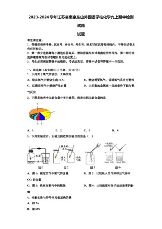 2023-2024学年江苏省南京东山外国语学校化学九上期中检测试题含解析.doc