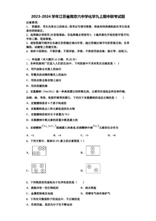 2023-2024学年江苏省南京六中学化学九上期中联考试题含解析.doc