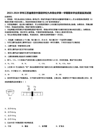 2023-2024学年江苏省南京外国语学校九年级化学第一学期期末学业质量监测试题含解析.doc
