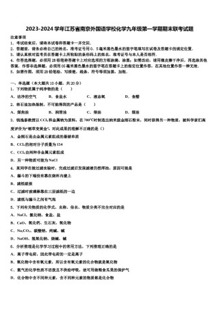 2023-2024学年江苏省南京外国语学校化学九年级第一学期期末联考试题含解析.doc
