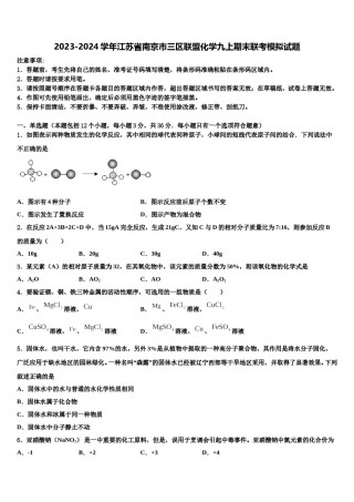 2023-2024学年江苏省南京市三区联盟化学九上期末联考模拟试题含解析.doc