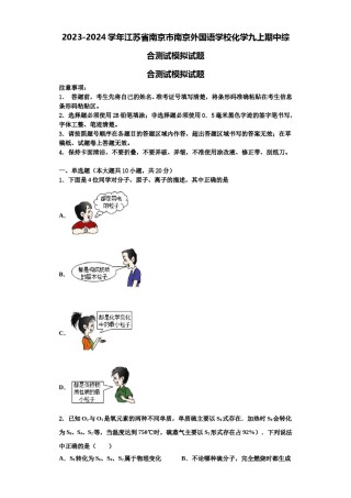 2023-2024学年江苏省南京市南京外国语学校化学九上期中综合测试模拟试题含解析.doc