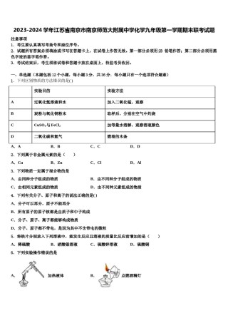 2023-2024学年江苏省南京市南京师范大附属中学化学九年级第一学期期末联考试题含解析.doc