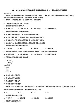 2023-2024学年江苏省南京市南航附中化学九上期末复习检测试题含解析.doc