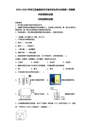 2023-2024学年江苏省南京市宁海中学化学九年级第一学期期中检测模拟试题含解析.doc